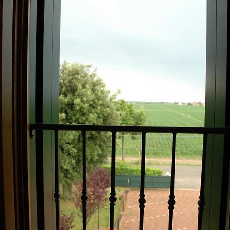 Terzo Bacino Bed & Breakfast San Michele al Tagliamento Ngoại thất bức ảnh