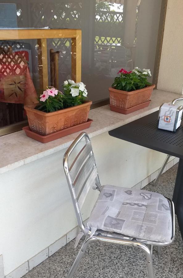Terzo Bacino Bed & Breakfast San Michele al Tagliamento Ngoại thất bức ảnh